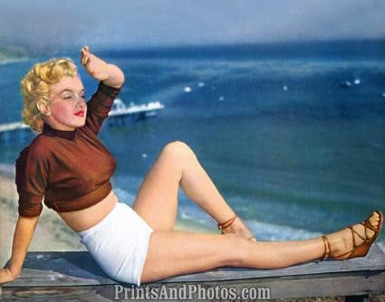 MARILYN MONROE Sexy Beach Pinup 0352