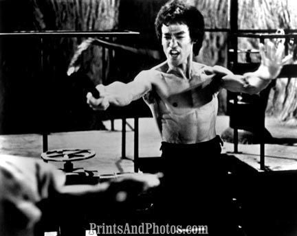 Martial Arts Legend BRUCE LEE  0869