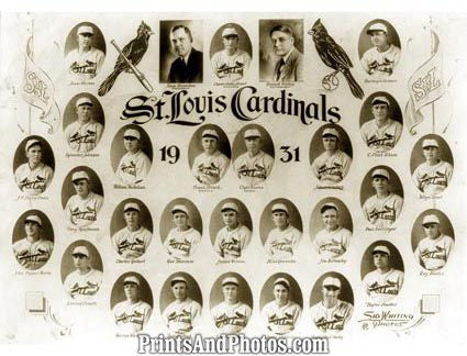 31 ST LOUIS CARDINALS Team  1196 31 ST LOUIS CARDINALS Team  1196