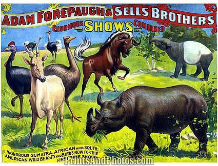 SELLS BROS & Adam Forepaugh CIRCUS 1200
