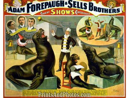 SELLS BROS & SEALS CIRCUS 1201