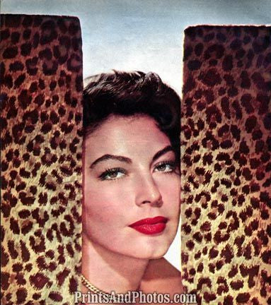 Hollywood 's AVA GARDNER Sexy 1397