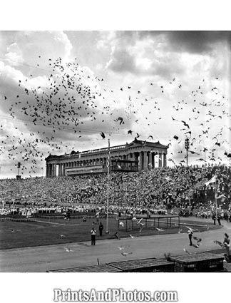 Bears SOLDIER FIELD Classic  1551