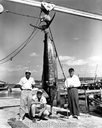 Fishing 487lb BLUE MARLIN Bahamas  1577