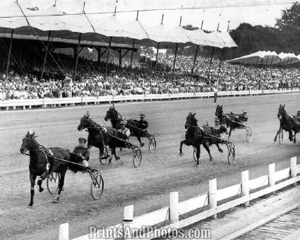 HARNESS Horse Racing GOLD TIME  1582