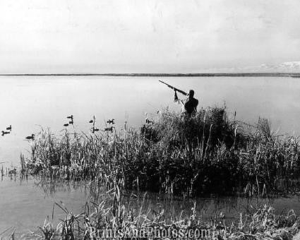 THE DUCK HUNTER Great  1583 THE DUCK HUNTER Great  1583