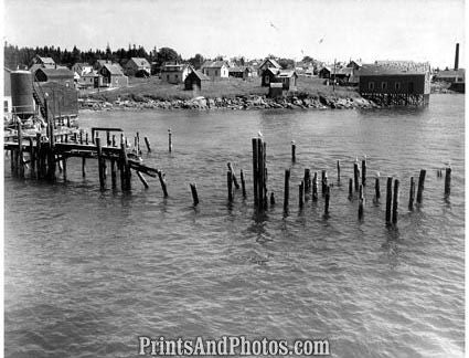 CITY Jonesport MAINE 50s AERIAL  1711