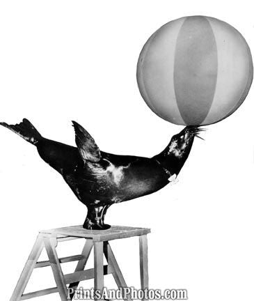 Trick Swinging Wire Artist 4985