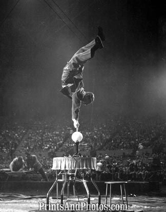 Trick Swinging Wire Artist 4985
