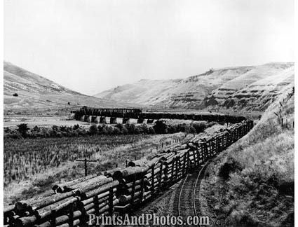 Logging Train Oregon 50s  19490