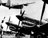 WWII  Tiger Ready For Flight 2011