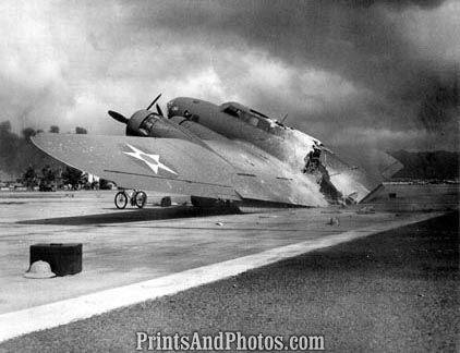 WWII  Plane Cut In Half 2038 WWII  Plane Cut In Half 2038
