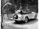 1948 Willys Jeepster w/ Giraffe  2054 - Prints and Photos