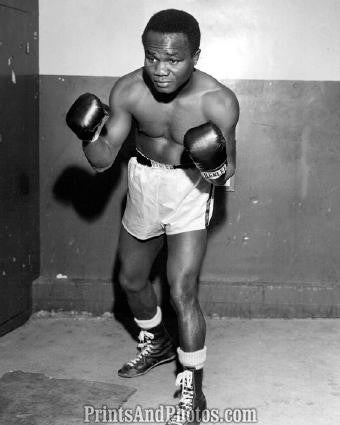 Boxer HOGAN KID BASSEY  2170