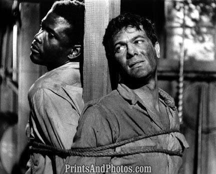 SIDNEY POTIER & TONY CURTIS  2548