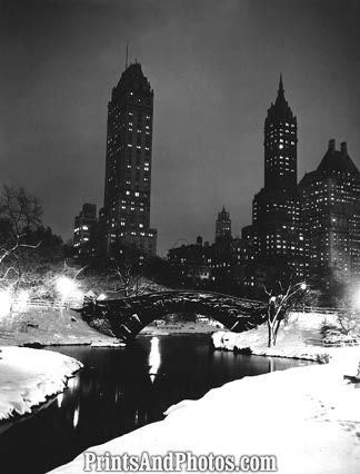 NYC CENTRAL PARK at Night  2562