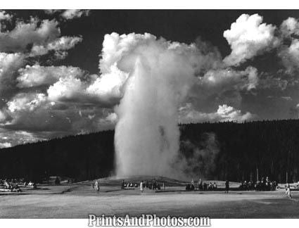 YELLOWSTONE PARK Old Faithful 2570