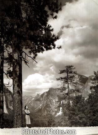 YOSEMITE Park from Warrons Road 2573
