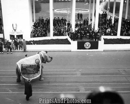 EISENHOWER Inaugural GOP Elephant 3005