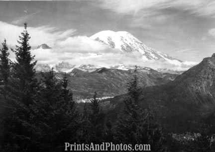 MOUNT RAINIER Natl Park  3072