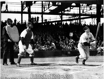 YANKEES Baseball Joe Di DiMaggio  3103