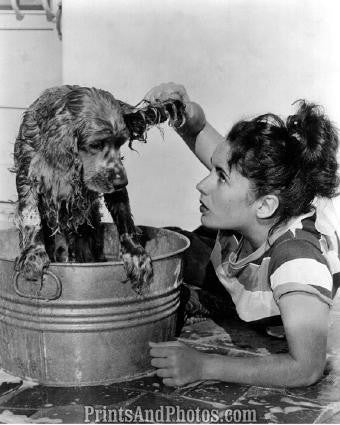 Hollywood Actress Lucille Ball 3296
