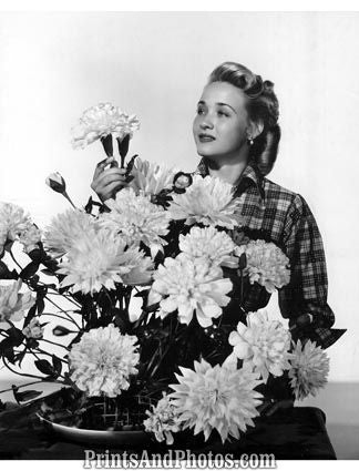 Actress Jane Powell 1951  3289 Actress Jane Powell 1951  3289