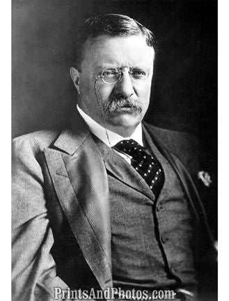TEDDY ROOSEVELT 26th President 3406