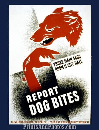 Report Dog Bites Ad 3633