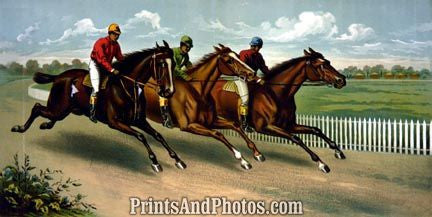 Three Men HORSE RACING  3649 Three Men HORSE RACING  3649