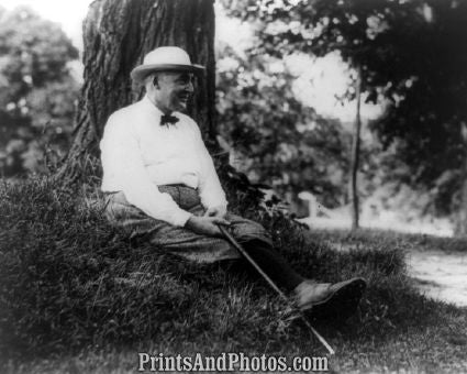 President Warren G Harding 3697