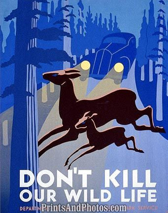 VINTAGE Don't Kill WILDLIFE Ad 3756 VINTAGE Don