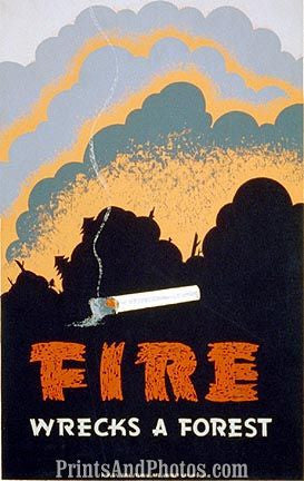 VINTAGE Forest Fire Ad 3760