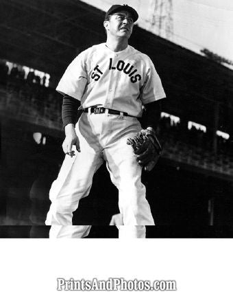 IT HAPPENS EVERY SPRING Ray Milland 3945