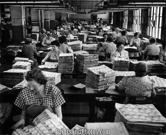 Women & Dollar Bill Piles  4163 Women & Dollar Bill Piles  4163