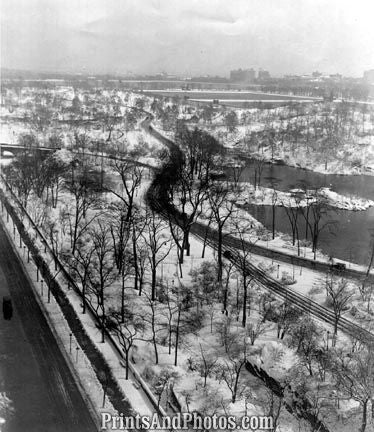 NEW YORK Early Central Park 4180