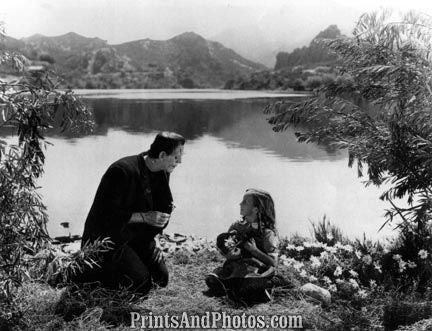 Frankenstein Karloff Harris 4267