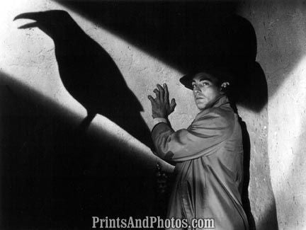 This Gun for Hire Alan Ladd 1942  4340 This Gun for Hire Alan Ladd 1942  4340