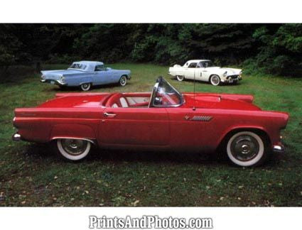 Ford Thunderbird 55 56 & 57 4392