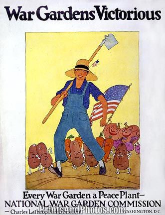 National War Garden Commission 4509