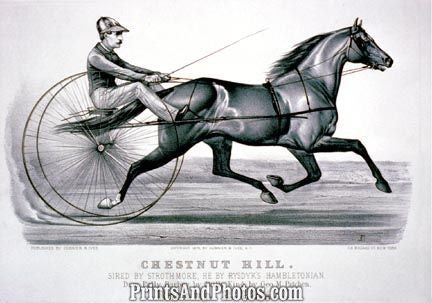 Chestnut Hill Horse Racing  4570 Chestnut Hill Horse Racing  4570