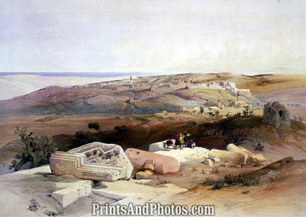 Gaza Beautiful Landscape 4607