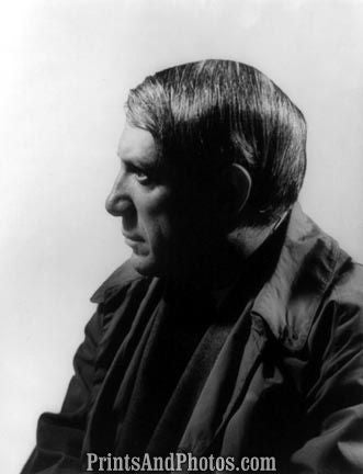 Painter Artist Pablo Picasso 4670