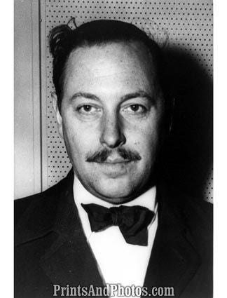 Tennessee Williams Bow Tie 4686