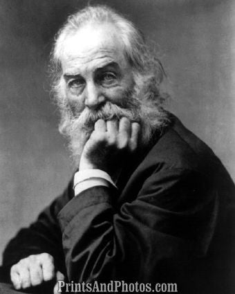 POET Walt Whitman Hand on Chin  4716