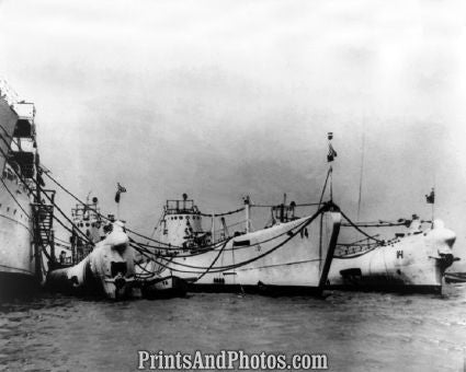 Submarine Plunger Oyster Bay  4726