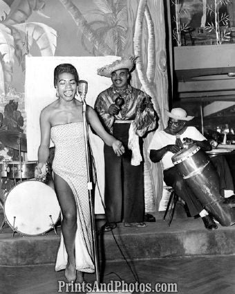 Maya Angelou Calypso 4890