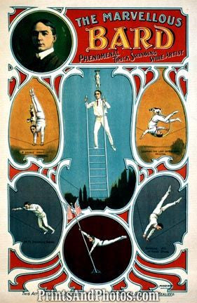 Trick Swinging Wire Artist  4985 Trick Swinging Wire Artist  4985