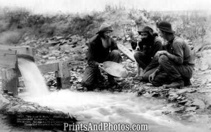 Dakota Gold Panners 5002