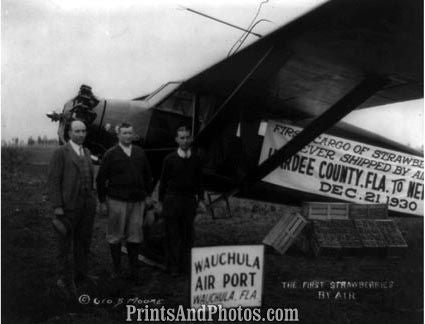 Strawberries by Air Wauchula FLA  5155 Strawberries by Air Wauchula FLA  5155